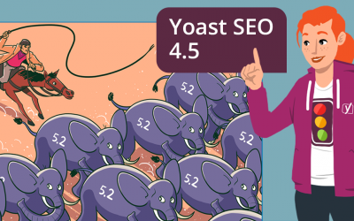 Mshini receives the Yoast stamp of approval
