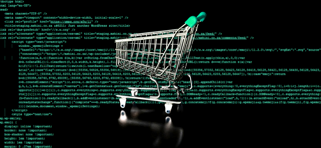 eCommerce: The basics of bringing your business online